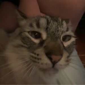 Meet your Posher, Jack